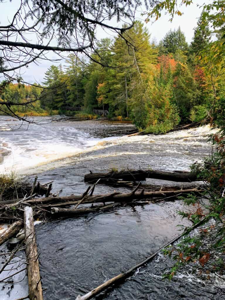 Looking across the Tahquamenon River to the island at the Lower Falls. Exploring the island for a different perspective of Tahquamenon Falls is one of the best things to do.
