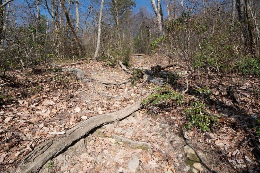 A view up the very steep horseshoe path between the Standing Stone and Horseshoe Trails at Cowans Gap State Park