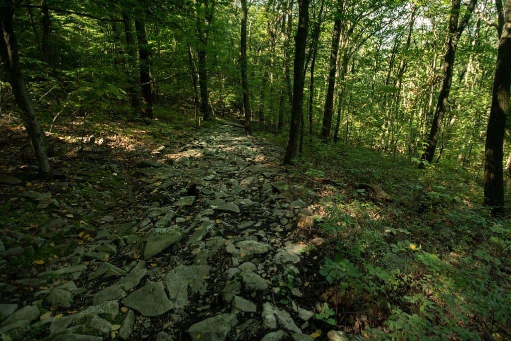 rocky trails you'll cross while hiking Mt Nittany