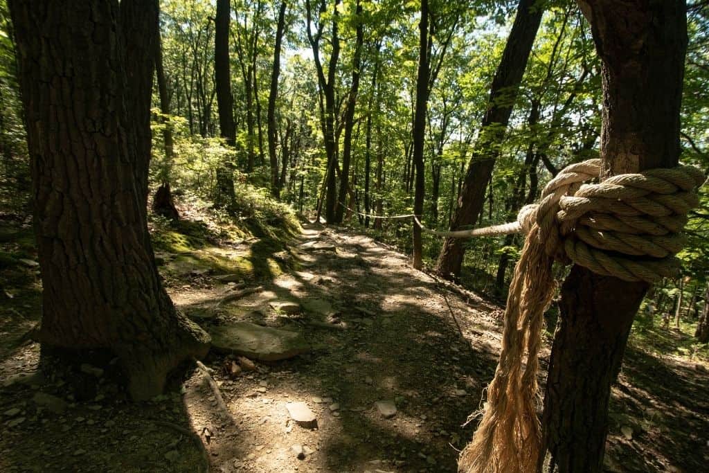 Wider trail on the descent down Mount Nittany