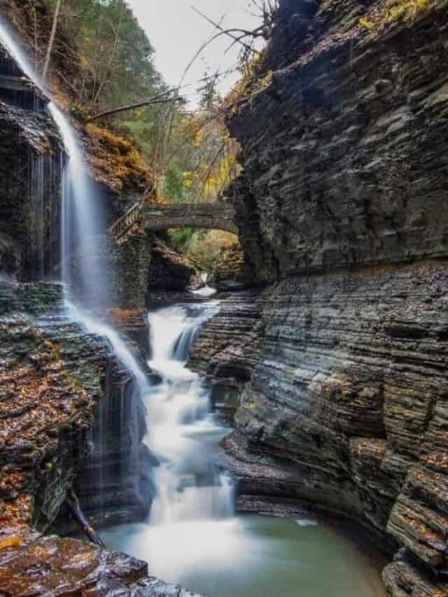 Watkins Glen State Park in western New York has beautiful waterfalls to explore over the trails.