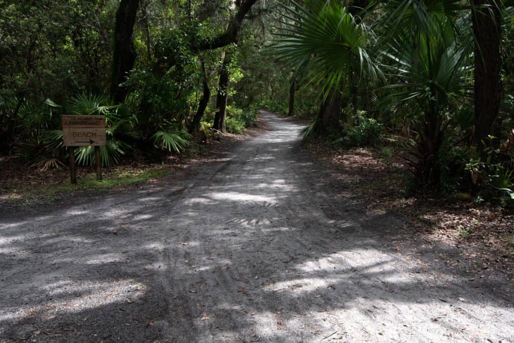 When visiting Cumberland Island, you'll have to take a walk to visit the stunning undeveloped beaches.