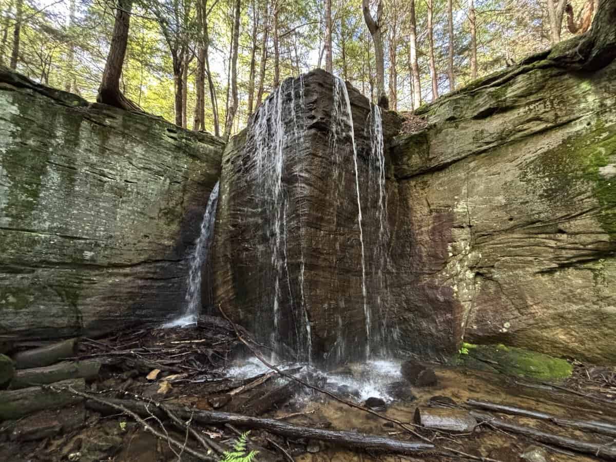 Hector Falls cascades in thin streams over a tall sandstone cliff into a shallow rocky pool below. Fallen logs and mossy rock walls surround the waterfall, with tall trees rising above the gorge in the Allegheny National Forest.