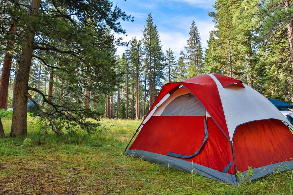 A red and gray tent sits to the right of the frame among a wooded mountain campsite where it can be very cold at night.