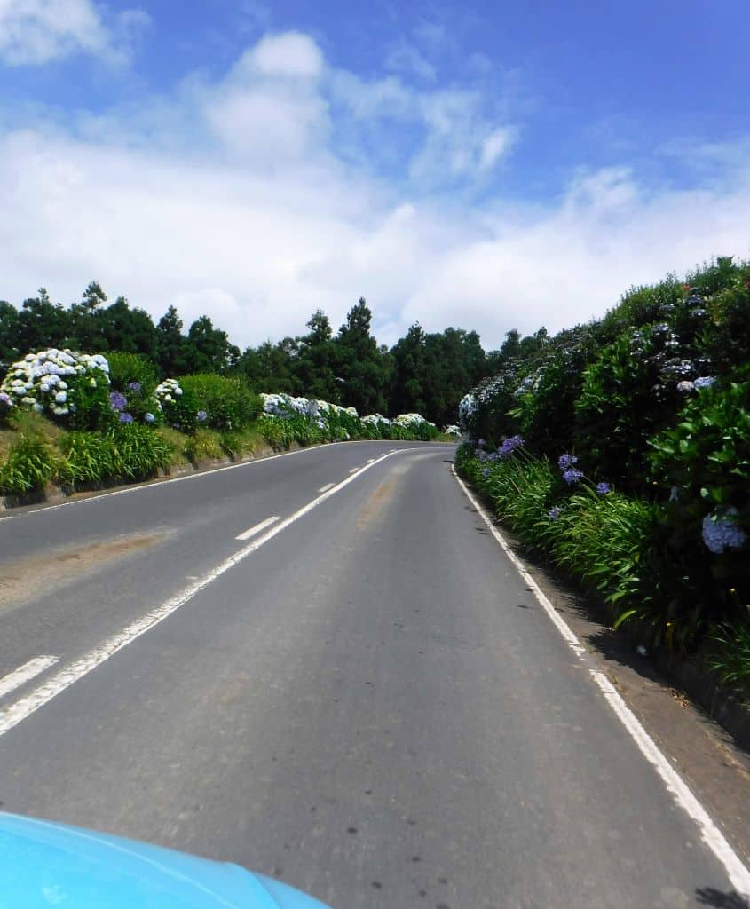 Renting a car from Ponta Delgada allows you to see the beautiful hydrangea-lined roadways.