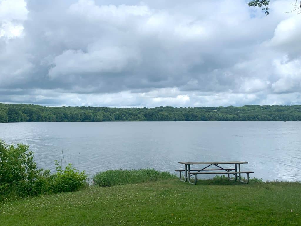 A picnic table sits on the edge of Lake Wilhelm in green grass.
