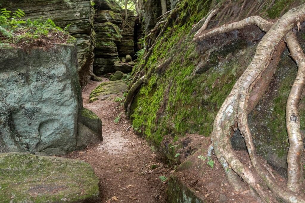Exploring Panama Rocks Scenic Park Trails: A Hidden Gem Rock City Near ...