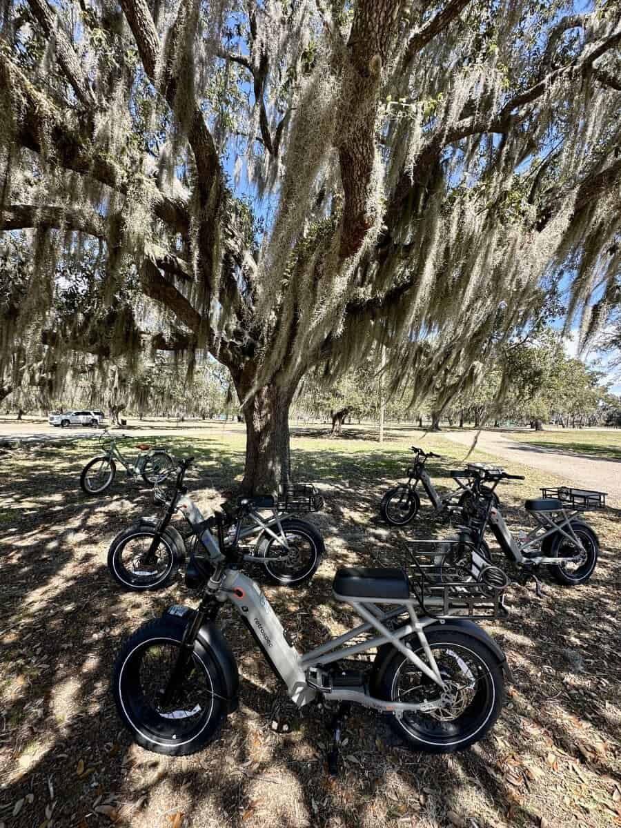Several electric bikes parked in the shade beneath a large oak tree draped in Spanish moss at Fontainebleau State Park. The bikes suggest riders taking a break while on a ride along the nearby Tammany Trace on Louisiana’s Northshore.
