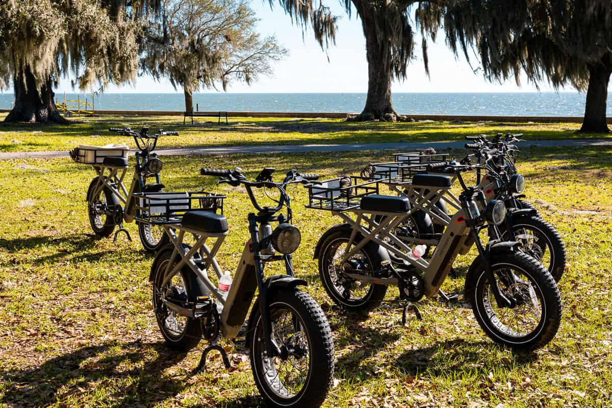 Electric bikes lined up on grass beneath oak trees covered in Spanish moss with Lake Pontchartrain visible beyond. The bikes suggest an easy ride along the nearby Tammany Trace and Fontainebleau State Park trails.