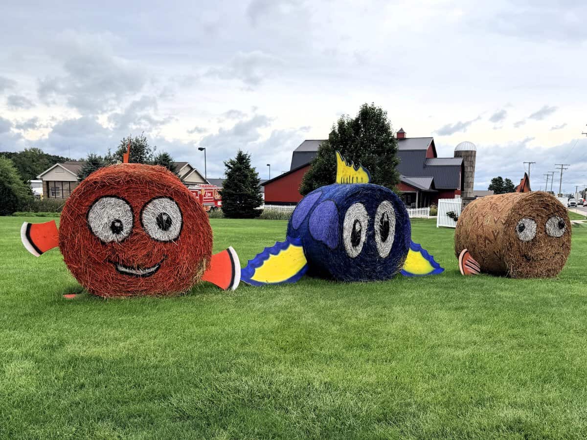 Three colorful straw bale fish, including orange Nemo and blue Dory, sit on a lawn along the Giant Straw Bale Art Trail near Shipshewana.